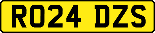 RO24DZS