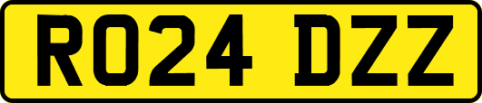 RO24DZZ