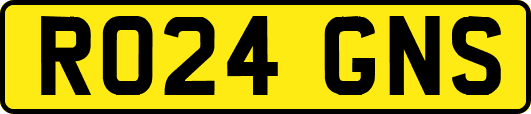 RO24GNS