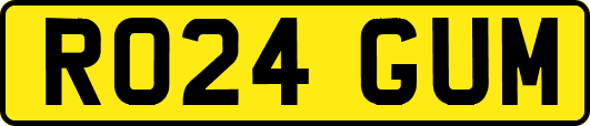 RO24GUM