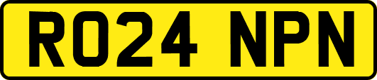 RO24NPN
