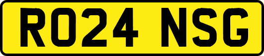 RO24NSG