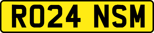 RO24NSM