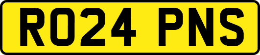 RO24PNS