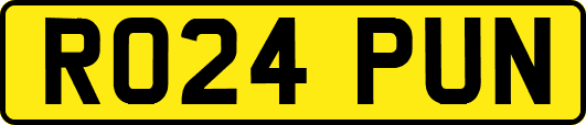 RO24PUN