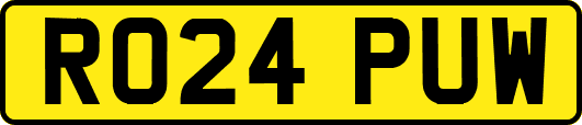 RO24PUW