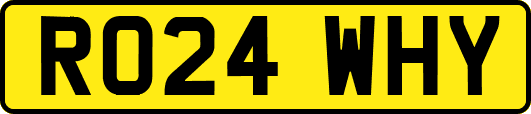 RO24WHY