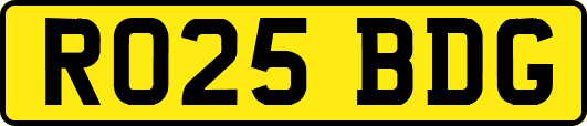 RO25BDG