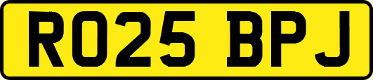 RO25BPJ