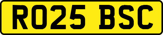 RO25BSC