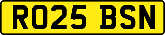 RO25BSN