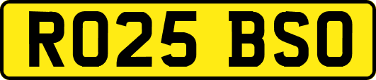 RO25BSO