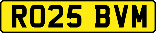 RO25BVM