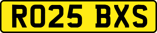 RO25BXS