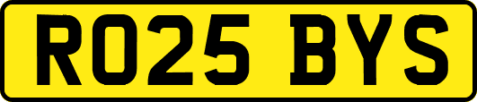 RO25BYS
