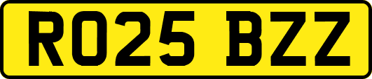 RO25BZZ