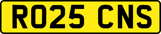 RO25CNS