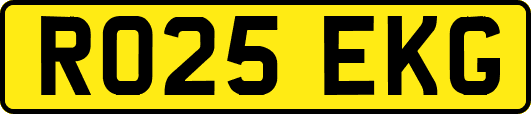 RO25EKG
