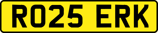 RO25ERK