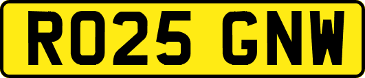 RO25GNW