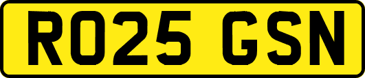 RO25GSN