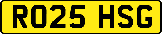 RO25HSG