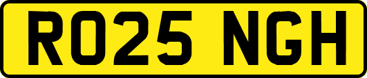 RO25NGH
