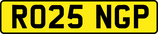 RO25NGP