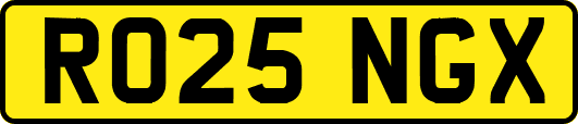RO25NGX