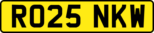 RO25NKW