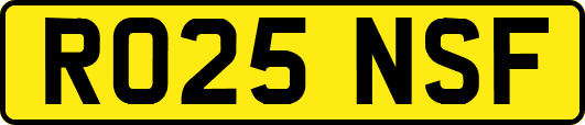 RO25NSF