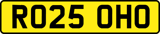 RO25OHO