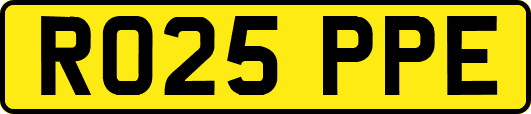RO25PPE
