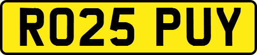 RO25PUY