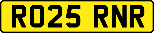 RO25RNR