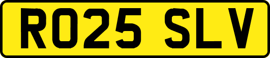RO25SLV