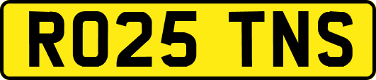 RO25TNS
