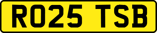 RO25TSB