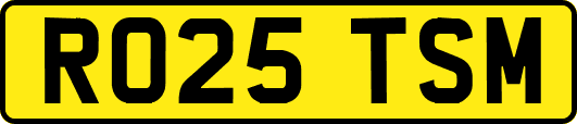 RO25TSM