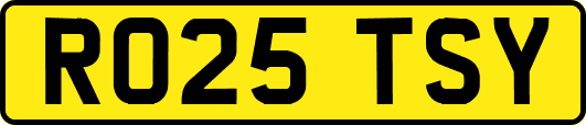 RO25TSY