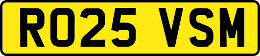 RO25VSM