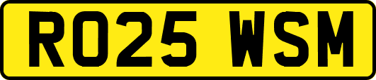 RO25WSM
