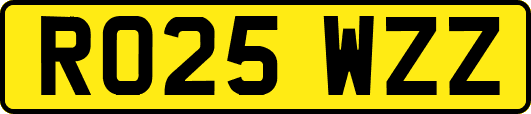 RO25WZZ