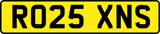 RO25XNS