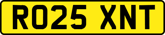 RO25XNT