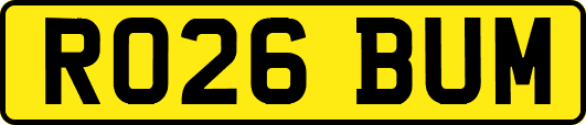 RO26BUM