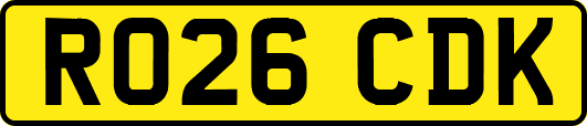 RO26CDK