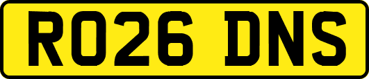 RO26DNS
