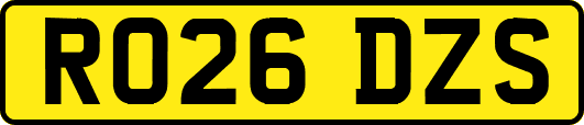 RO26DZS