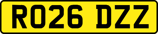 RO26DZZ